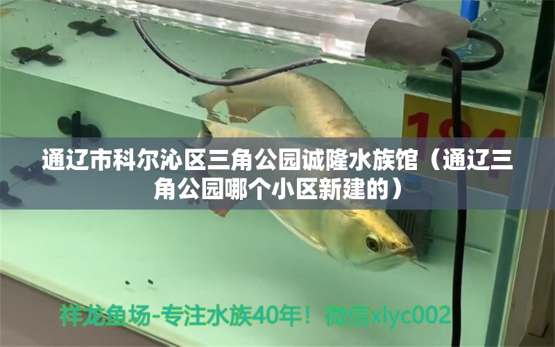 通辽市科尔沁区三角公园诚隆水族馆（通辽三角公园哪个小区新建的） 全国水族馆企业名录