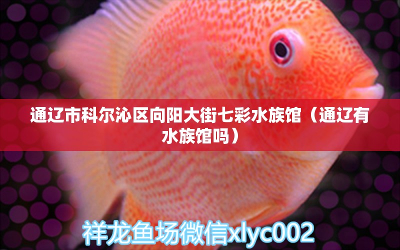 通辽市科尔沁区向阳大街七彩水族馆（通辽有水族馆吗） 全国水族馆企业名录