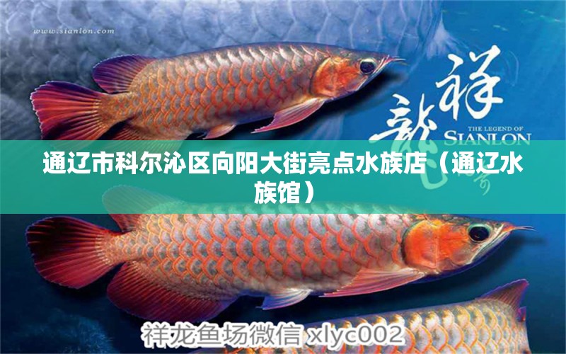 通辽市科尔沁区向阳大街亮点水族店（通辽水族馆）