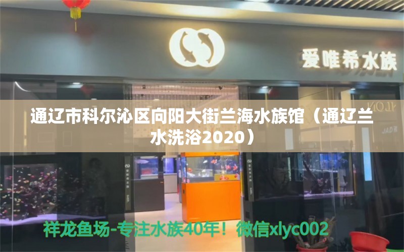 通辽市科尔沁区向阳大街兰海水族馆（通辽兰水洗浴2020）