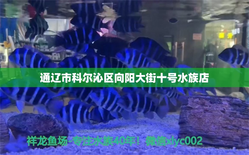 通辽市科尔沁区向阳大街十号水族店