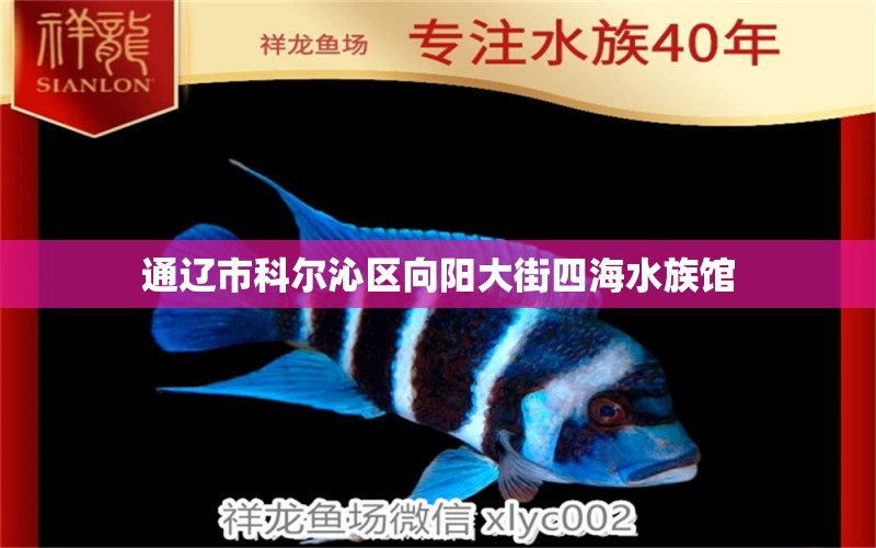 通辽市科尔沁区向阳大街四海水族馆