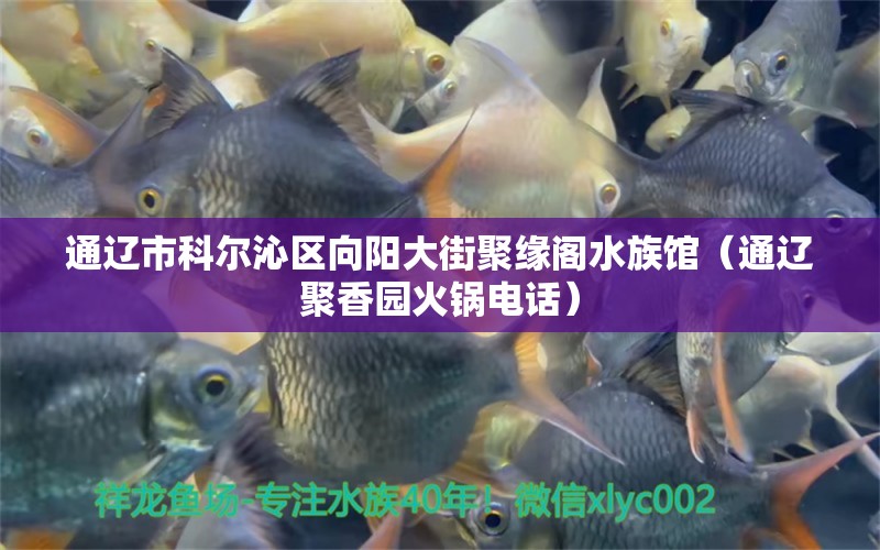 通辽市科尔沁区向阳大街聚缘阁水族馆（通辽聚香园火锅电话）