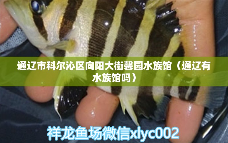 通辽市科尔沁区向阳大街馨园水族馆（通辽有水族馆吗）