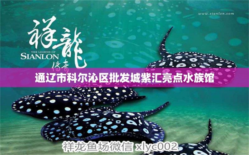 通辽市科尔沁区批发城紫汇亮点水族馆 全国水族馆企业名录