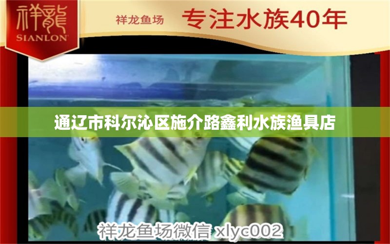 通辽市科尔沁区施介路鑫利水族渔具店 全国水族馆企业名录