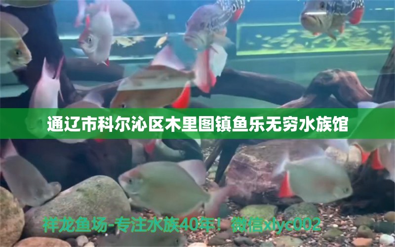 通辽市科尔沁区木里图镇鱼乐无穷水族馆 全国水族馆企业名录