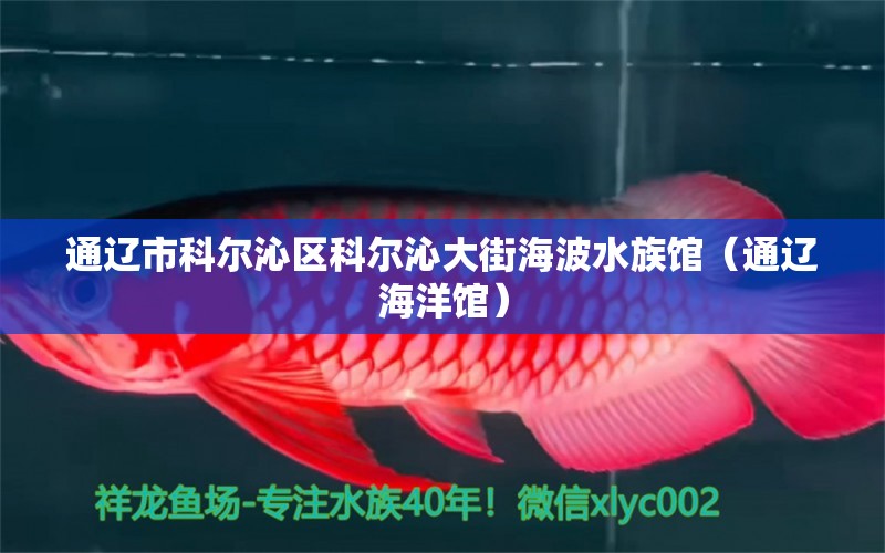 通辽市科尔沁区科尔沁大街海波水族馆（通辽海洋馆）