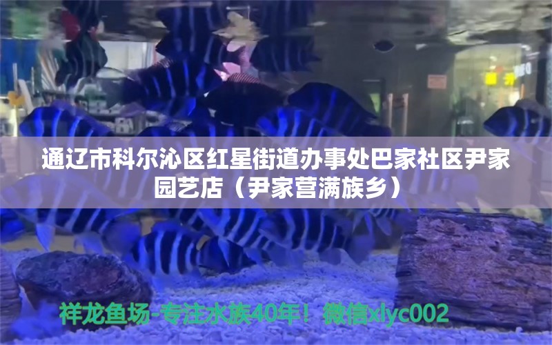 通辽市科尔沁区红星街道办事处巴家社区尹家园艺店（尹家营满族乡） 全国水族馆企业名录