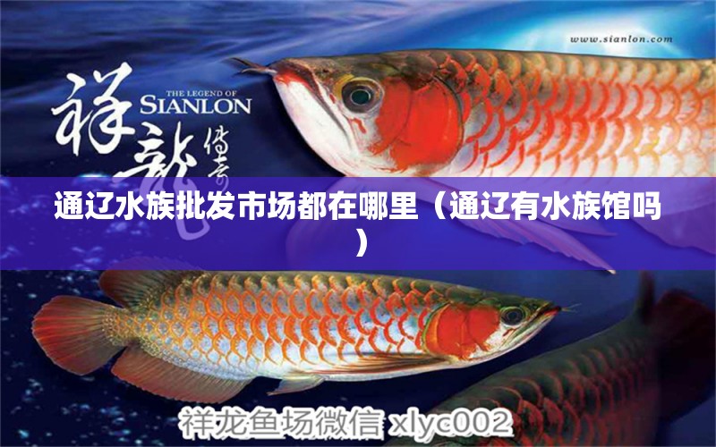 通辽水族批发市场都在哪里（通辽有水族馆吗） 观赏鱼水族批发市场