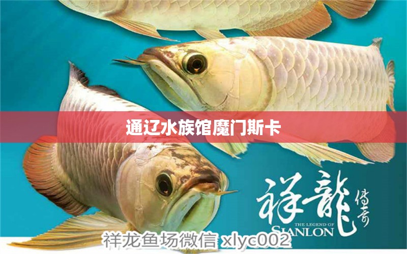 通辽水族馆魔门斯卡