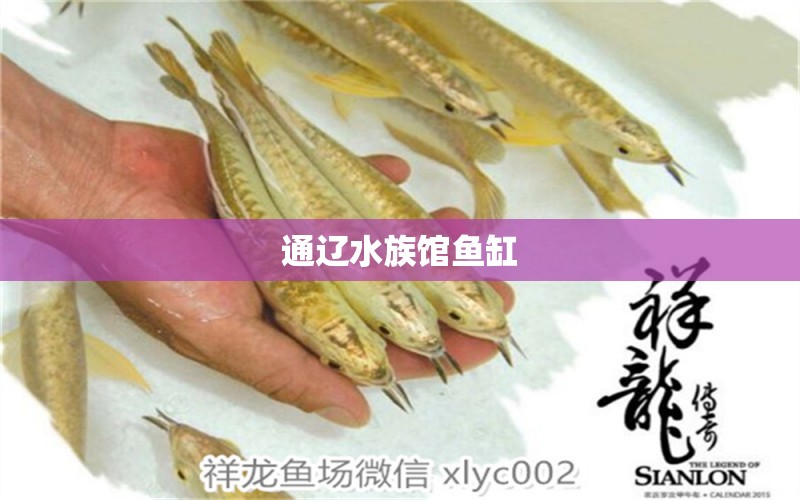 通辽水族馆鱼缸 其他品牌鱼缸