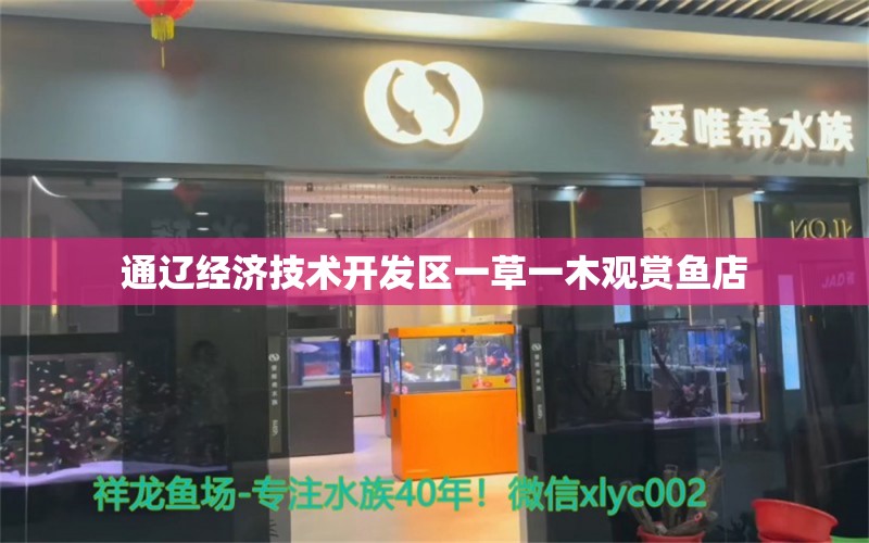 通辽经济技术开发区一草一木观赏鱼店