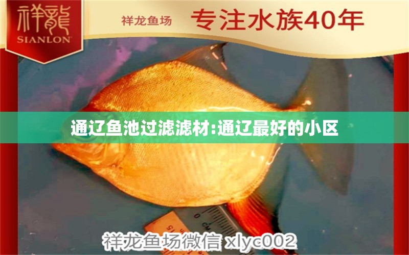 通辽鱼池过滤滤材:通辽最好的小区 广州水族器材滤材批发市场