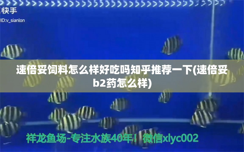 速倍妥饲料怎么样好吃吗知乎推荐一下(速倍妥b2药怎么样) 速倍妥 第1张