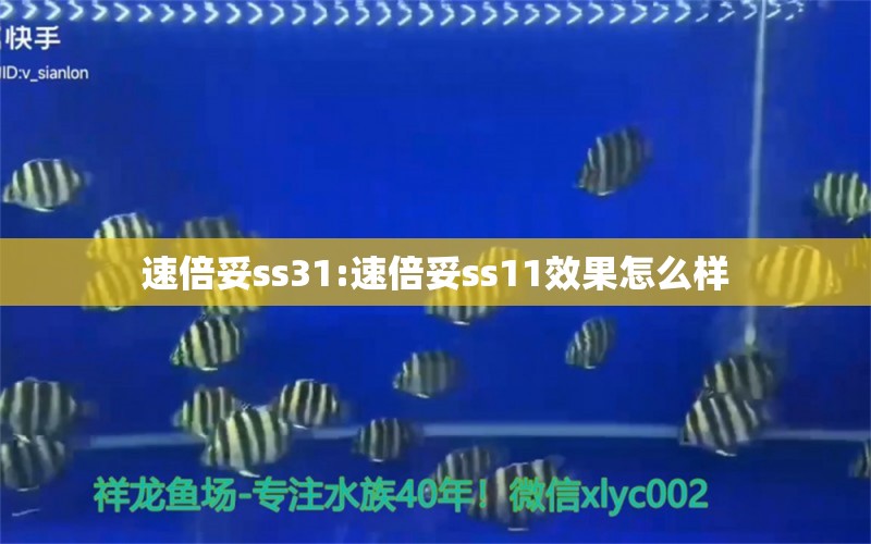 速倍妥ss31:速倍妥ss11效果怎么样 速倍妥 第1张