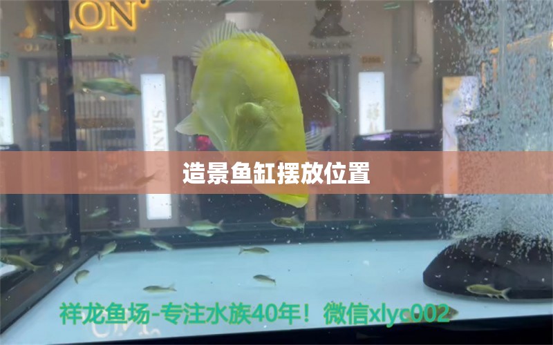 造景鱼缸摆放位置 水族问答 第1张