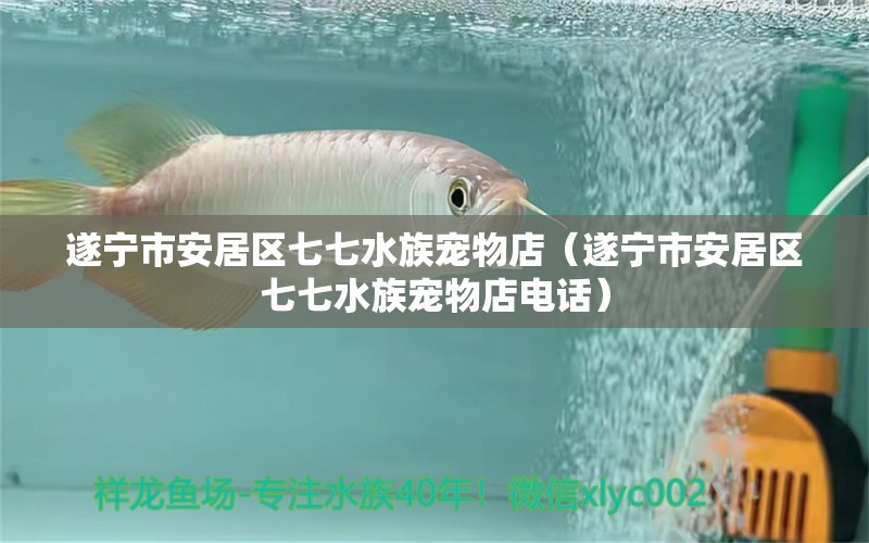 遂宁市安居区七七水族宠物店（遂宁市安居区七七水族宠物店电话） 全国水族馆企业名录