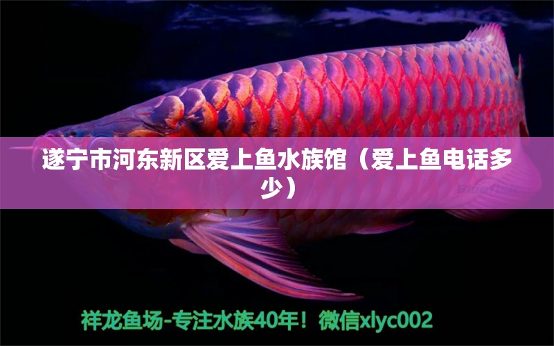 遂宁市河东新区爱上鱼水族馆（爱上鱼电话多少）