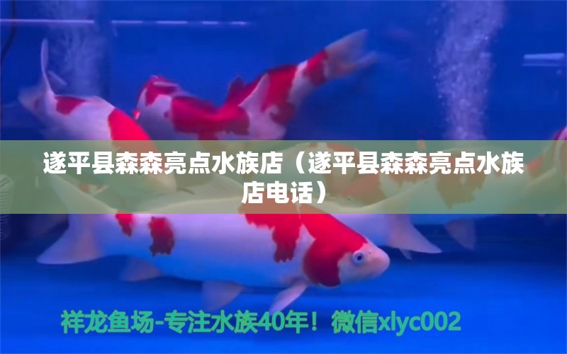 遂平县森森亮点水族店（遂平县森森亮点水族店电话）