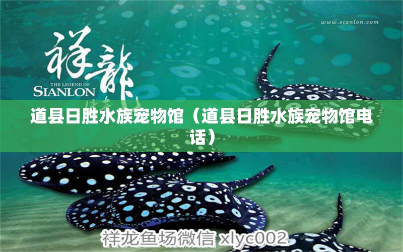 道县日胜水族宠物馆（道县日胜水族宠物馆电话）