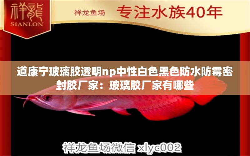 道康宁玻璃胶透明np中性白色黑色防水防霉密封胶厂家：玻璃胶厂家有哪些 鱼缸百科 第2张