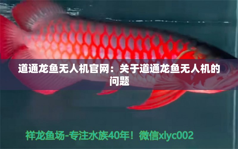 道通龙鱼无人机官网：关于道通龙鱼无人机的问题 水族问答 第2张