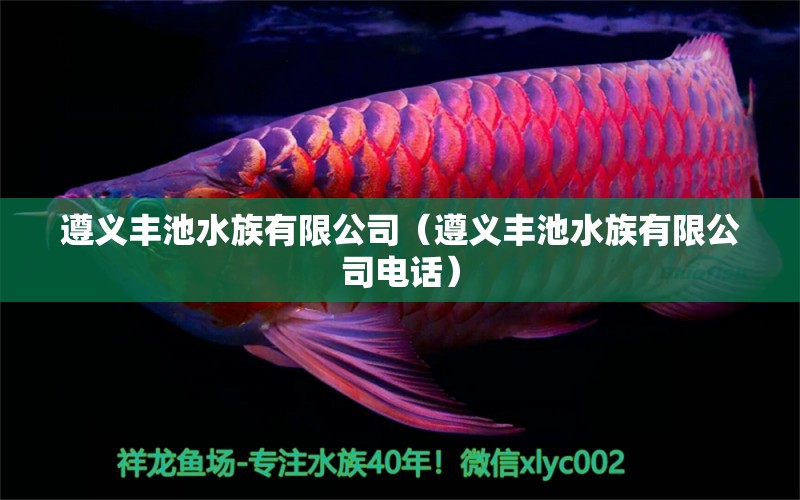 遵义丰池水族有限公司（遵义丰池水族有限公司电话） 全国水族馆企业名录