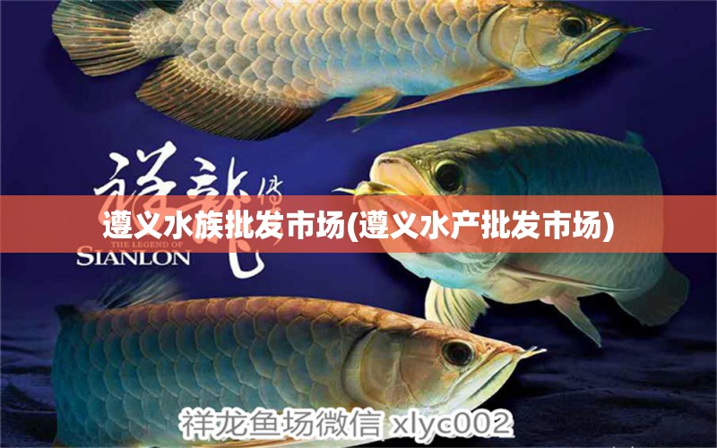 遵义水族批发市场(遵义水产批发市场)