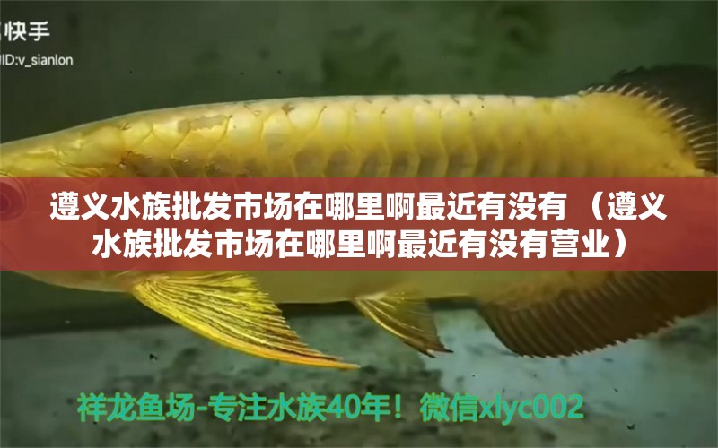 遵义水族批发市场在哪里啊最近有没有 （遵义水族批发市场在哪里啊最近有没有营业）