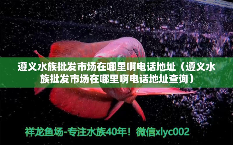 遵义水族批发市场在哪里啊电话地址（遵义水族批发市场在哪里啊电话地址查询）