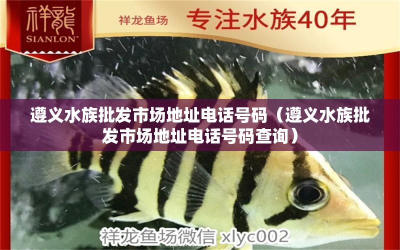 遵义水族批发市场地址电话号码（遵义水族批发市场地址电话号码查询）