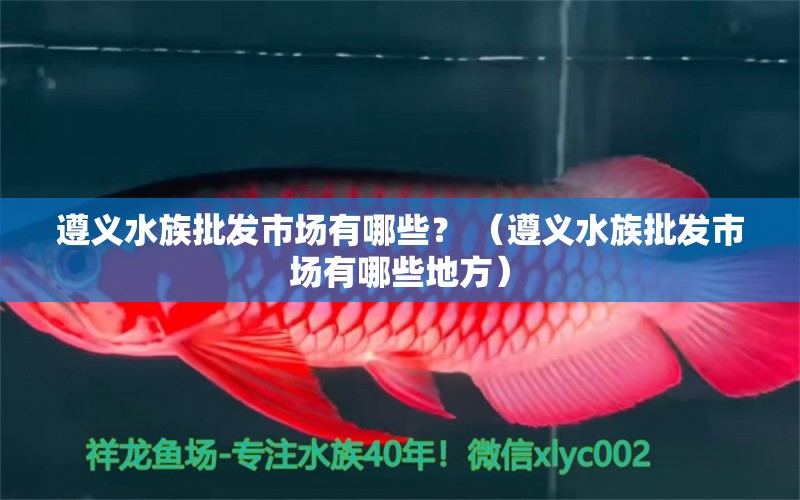 遵义水族批发市场有哪些？ （遵义水族批发市场有哪些地方）