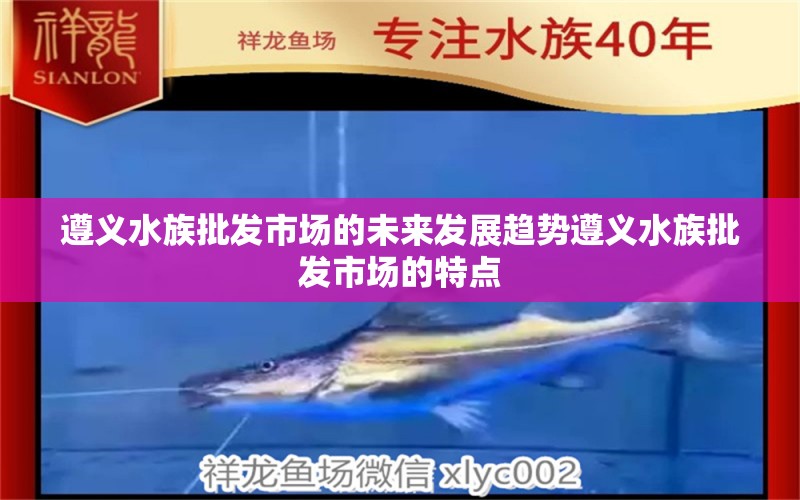 遵义水族批发市场的未来发展趋势遵义水族批发市场的特点