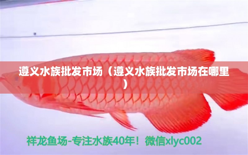 遵义水族批发市场（遵义水族批发市场在哪里）