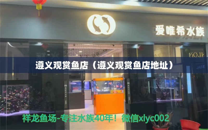 遵义观赏鱼店（遵义观赏鱼店地址）