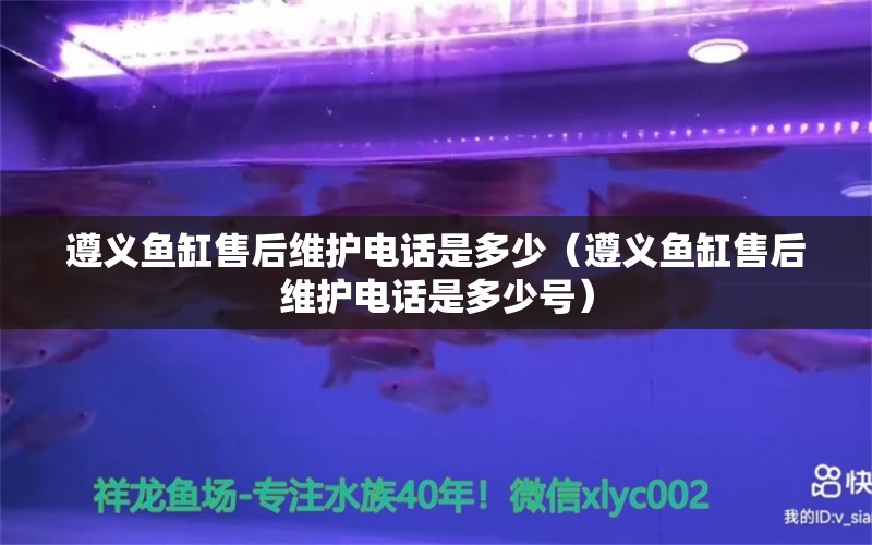 遵义鱼缸售后维护电话是多少（遵义鱼缸售后维护电话是多少号） 其他品牌鱼缸