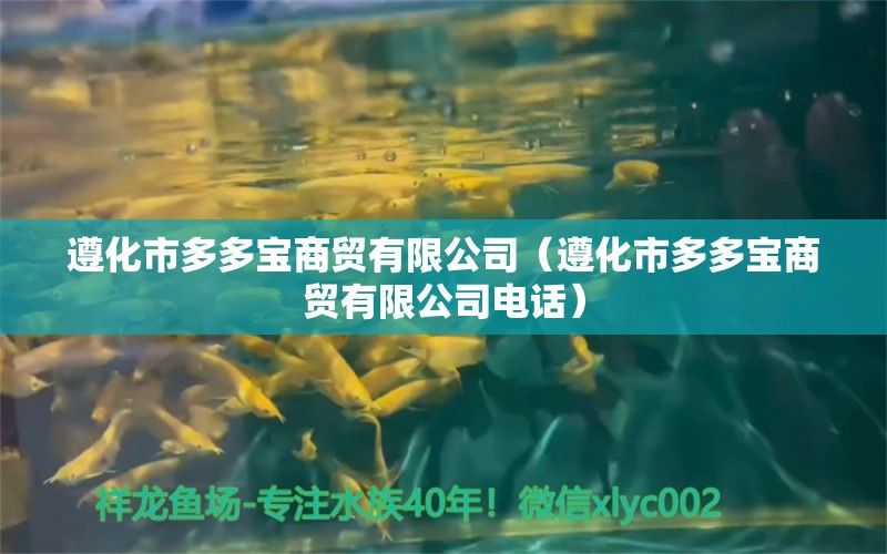 遵化市多多宝商贸有限公司（遵化市多多宝商贸有限公司电话） 全国水族馆企业名录