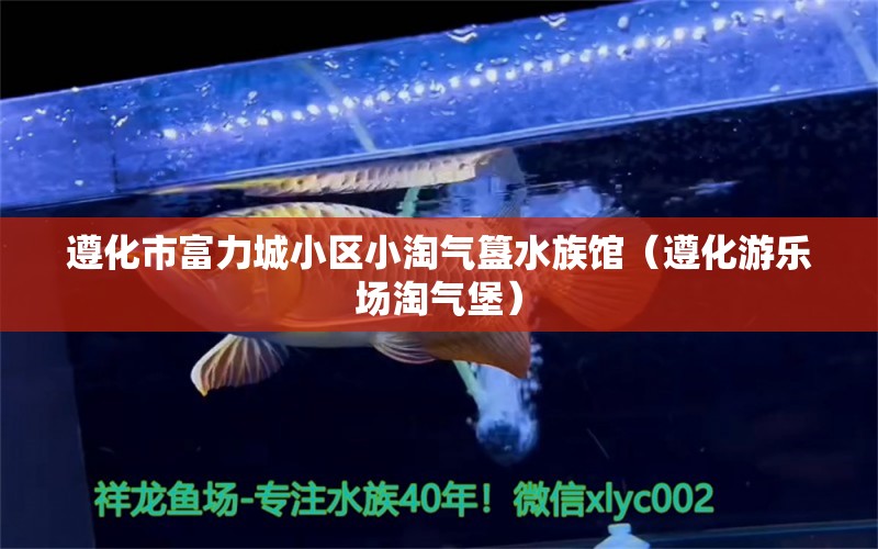 遵化市富力城小区小淘气簋水族馆（遵化游乐场淘气堡） 全国水族馆企业名录