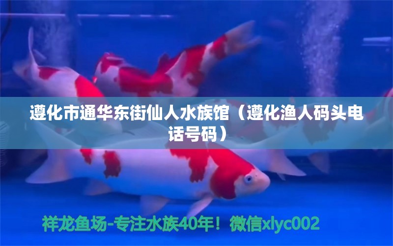 遵化市通华东街仙人水族馆（遵化渔人码头电话号码） 全国水族馆企业名录