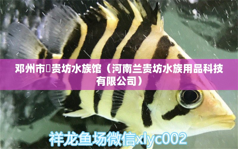 邓州市蘭贵坊水族馆（河南兰贵坊水族用品科技有限公司）