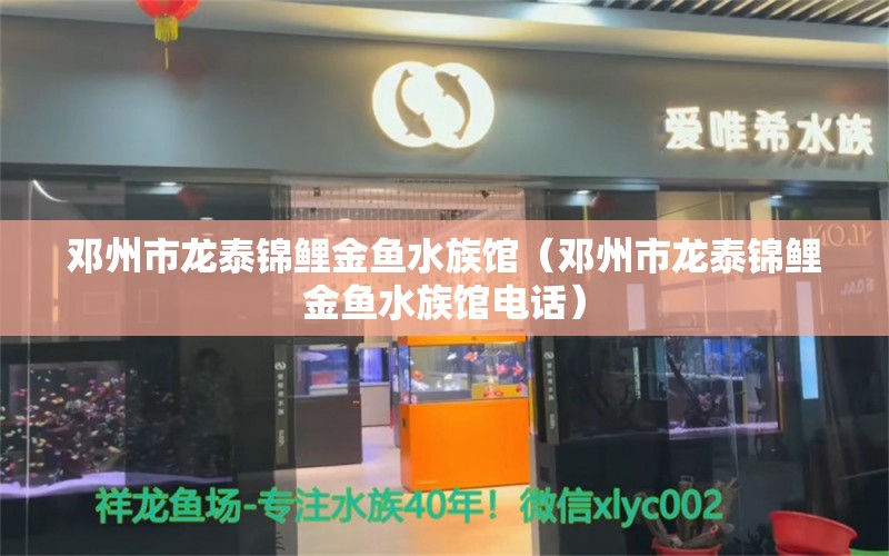 邓州市龙泰锦鲤金鱼水族馆（邓州市龙泰锦鲤金鱼水族馆电话） 全国水族馆企业名录