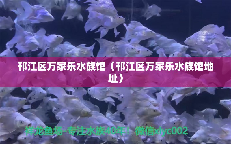 邗江区万家乐水族馆（邗江区万家乐水族馆地址）