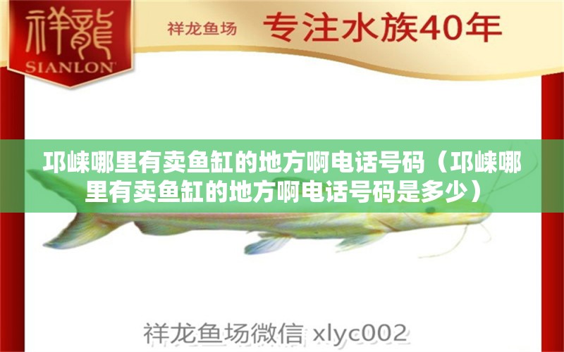 邛崃哪里有卖鱼缸的地方啊电话号码（邛崃哪里有卖鱼缸的地方啊电话号码是多少）