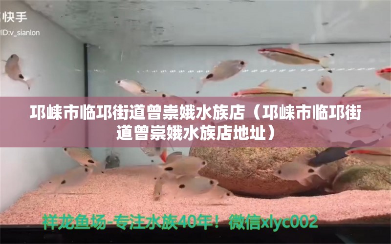 邛崃市临邛街道曾崇娥水族店（邛崃市临邛街道曾崇娥水族店地址）