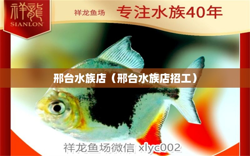 邢台水族店（邢台水族店招工） 观赏鱼市场