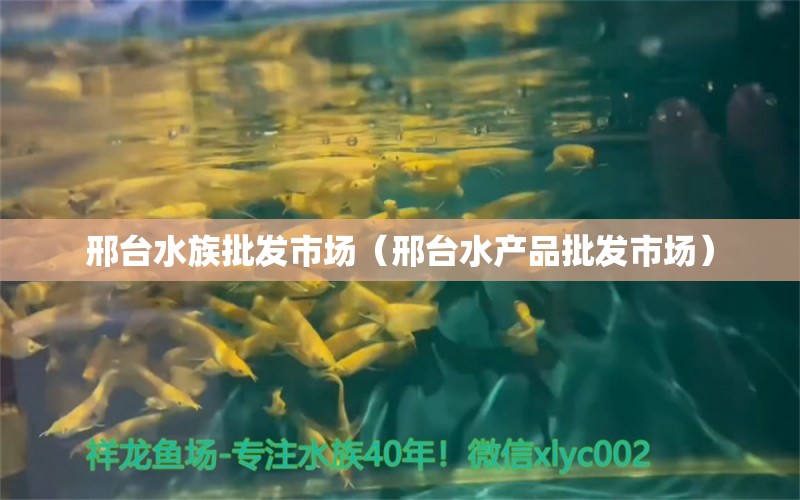 邢台水族批发市场（邢台水产品批发市场） 观赏鱼水族批发市场 第1张