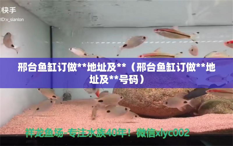 邢台鱼缸订做**地址及**（邢台鱼缸订做**地址及**号码） 祥龙水族医院