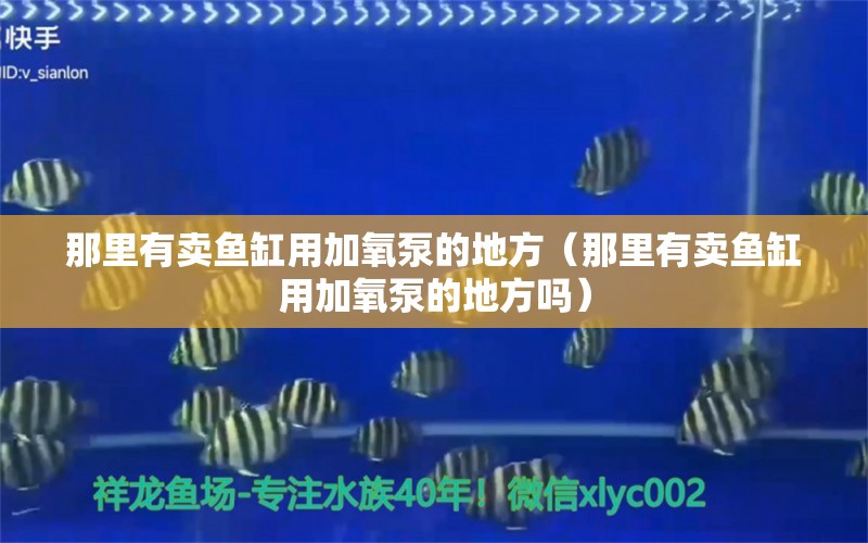 那里有卖鱼缸用加氧泵的地方（那里有卖鱼缸用加氧泵的地方吗） 观赏鱼市场（混养鱼） 第1张