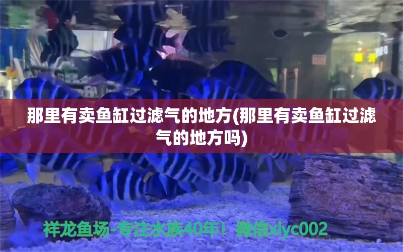 那里有卖鱼缸过滤气的地方(那里有卖鱼缸过滤气的地方吗) 朱巴利鱼